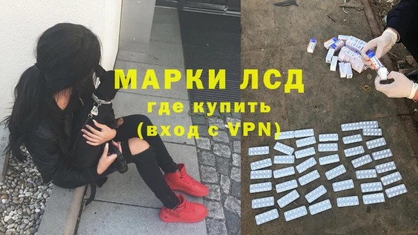 спайс Беломорск